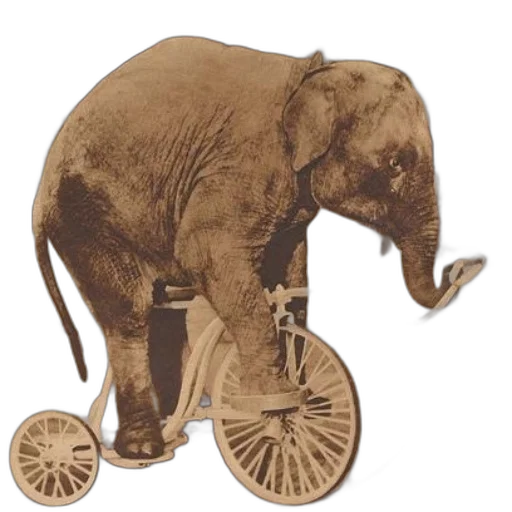 animal, staff, car, concept art transparent PNG cut-out