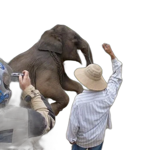 animal, hat, creature, person transparent PNG cut-out