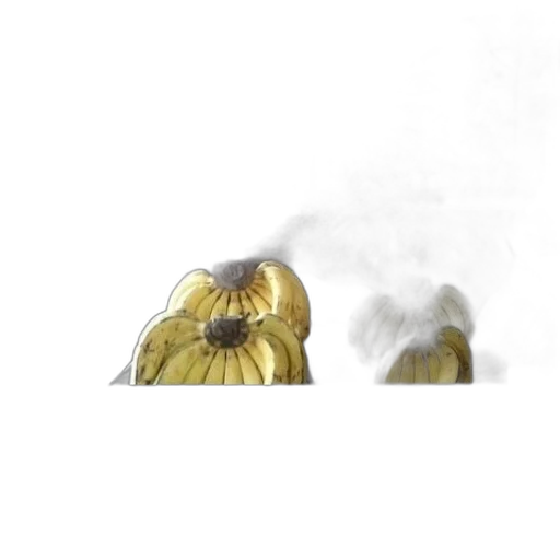 crown, jewelry, flower, weapon transparent PNG cut-out