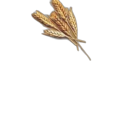 jewelry, crown, staff, hair transparent PNG cut-out