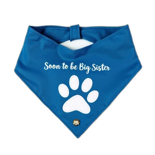 blue, bandana, white, paw transparent PNG cut-out