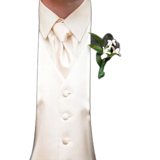 staff, umbrella, jewelry, jacket transparent PNG cut-out