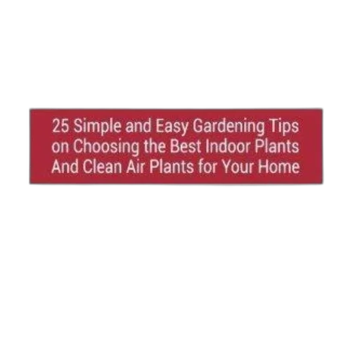 house, plants, simple, easy transparent PNG cut-out