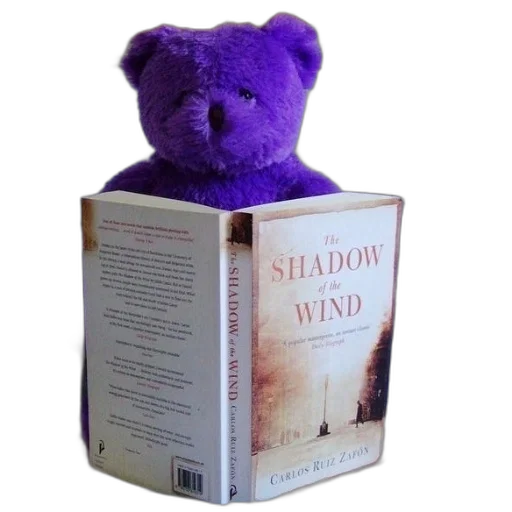 purple, teddy, bear, sitting transparent PNG cut-out