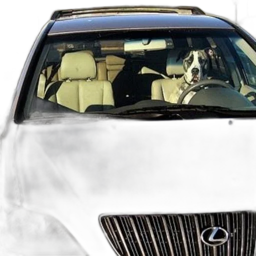 car, dog, sitting, driver transparent PNG cut-out