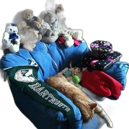 staff, jacket, dartmouth, blanket transparent PNG cut-out