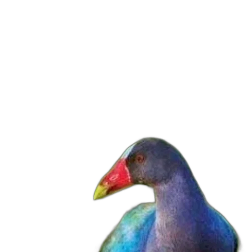 animal, creature, staff, hat transparent PNG cut-out