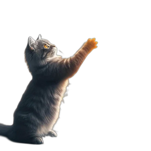 staff, animal, food, creature transparent PNG cut-out