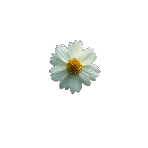 flower, crown, jewelry, weapon transparent PNG cut-out