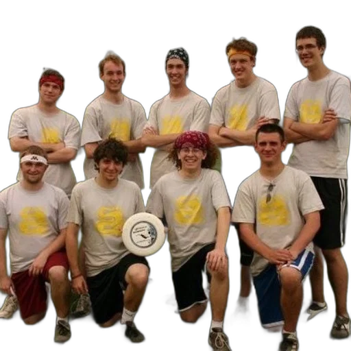 staff, crown, group, frisbee transparent PNG cut-out