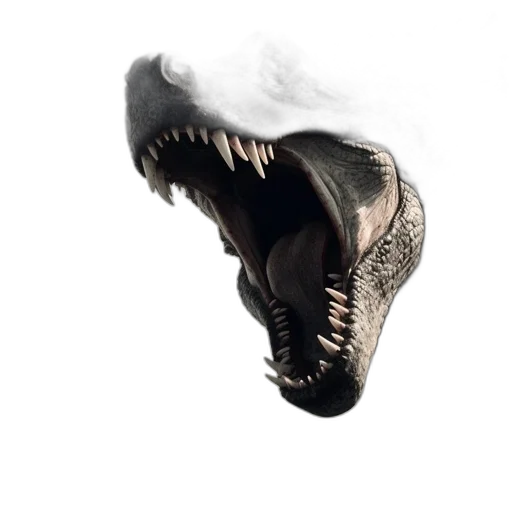 mask, dragon, shoes, creature transparent PNG cut-out
