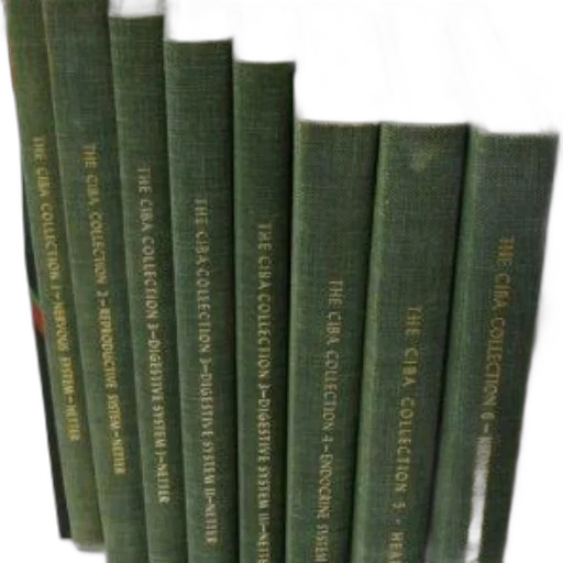 furniture, green, collection, books transparent PNG cut-out