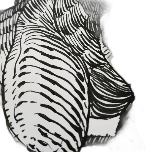 dress, animal, jacket, mask transparent PNG cut-out