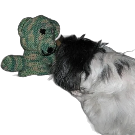 hat, animal, creature, staff transparent PNG cut-out