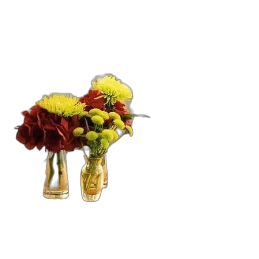 flower, crown, jewelry, food transparent PNG cut-out