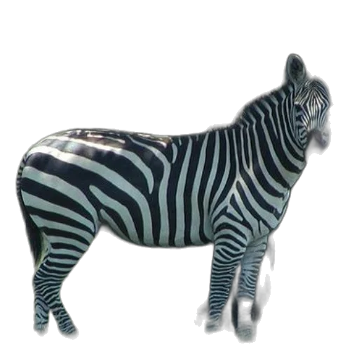 animal, creature, furniture, 3d render transparent PNG cut-out