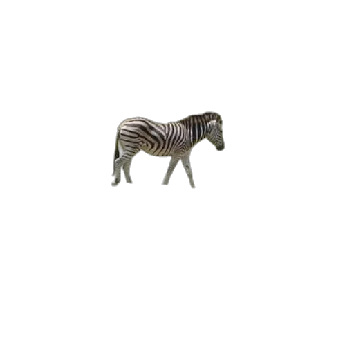 animal, creature, furniture, jewelry transparent PNG cut-out