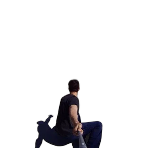 animal, furniture, staff, creature transparent PNG cut-out