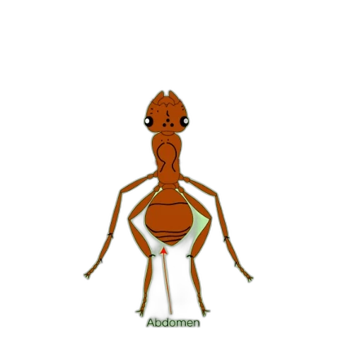 animal, creature, robot, mask transparent PNG cut-out