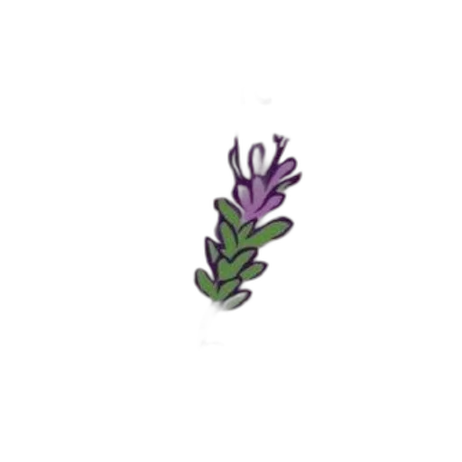 flower, crown, creature, tree transparent PNG cut-out