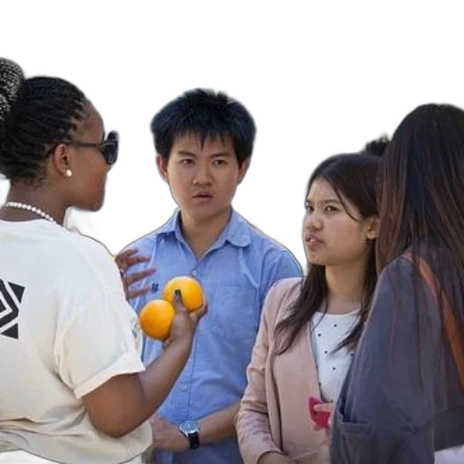 staff, group, young, people transparent PNG cut-out