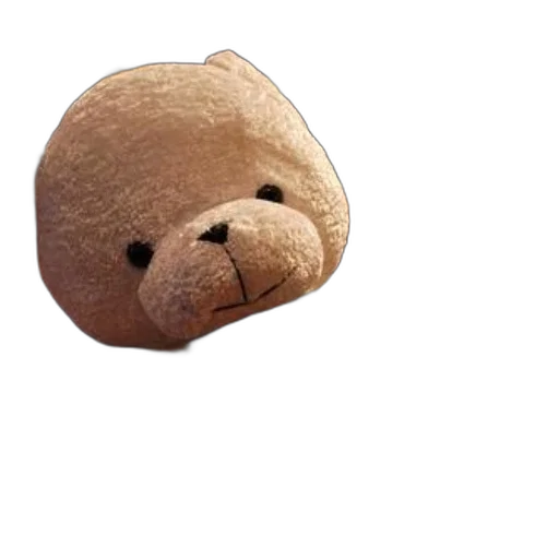 animal, face, creature, food transparent PNG cut-out