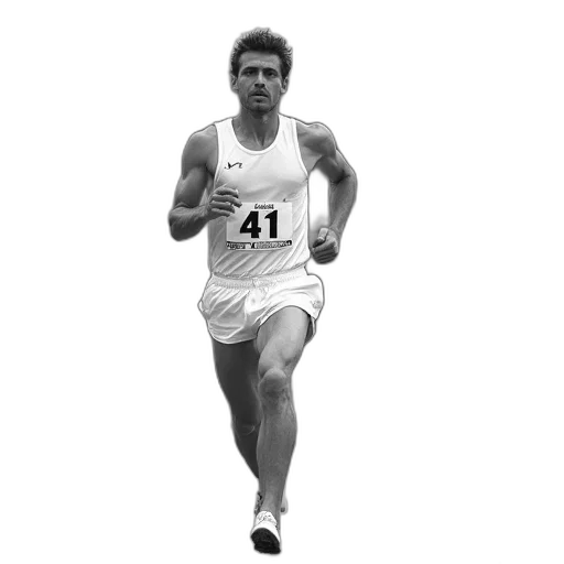 photorealistic, black, white, photograph transparent PNG cut-out