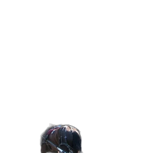 creature, animal, hair, mask transparent PNG cut-out