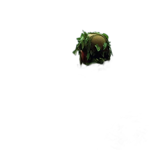 creature, animal, dragon, food transparent PNG cut-out