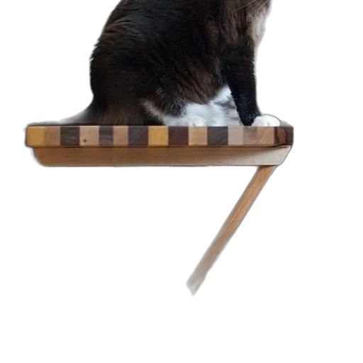 staff, furniture, weapon, animal transparent PNG cut-out