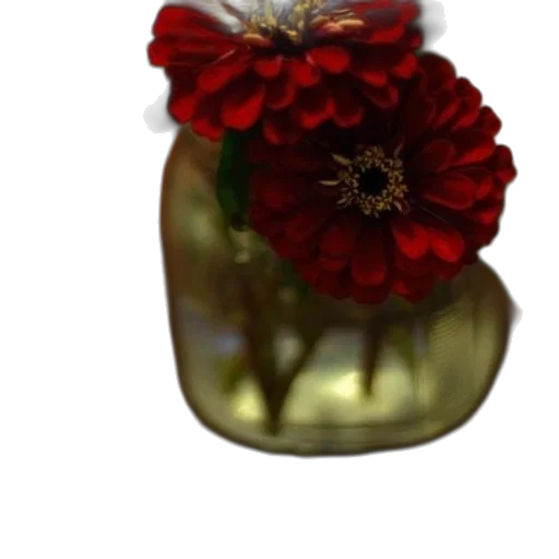 flower, crown, bottle, jewelry transparent PNG cut-out