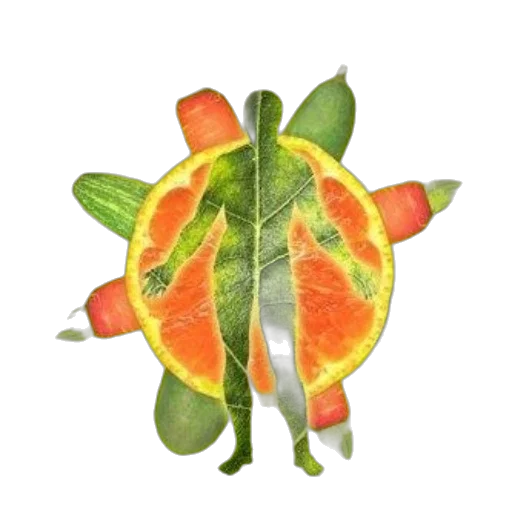 food, flower, crown, staff transparent PNG cut-out