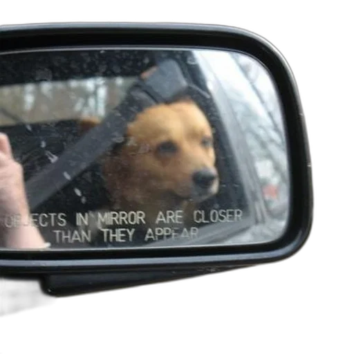 car, animal, creature, face transparent PNG cut-out