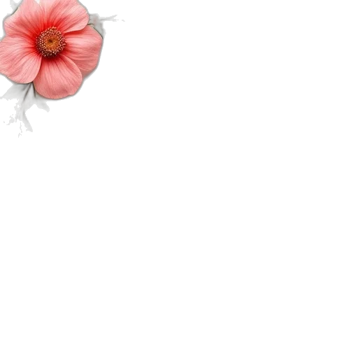flower, crown, hat, weapon transparent PNG cut-out