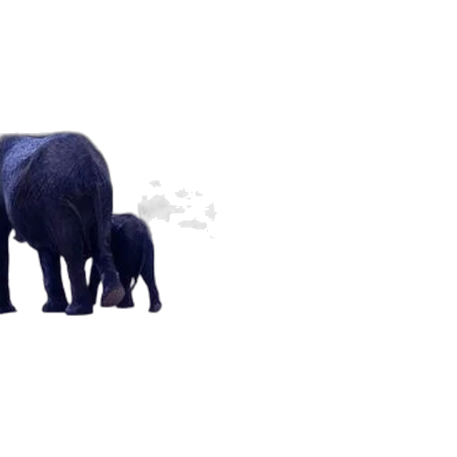 animal, creature, weapon, pixel art transparent PNG cut-out