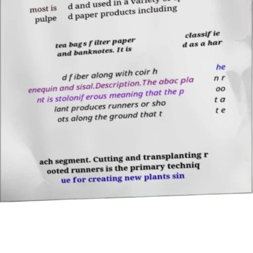 hair, image, text-based, description transparent PNG cut-out