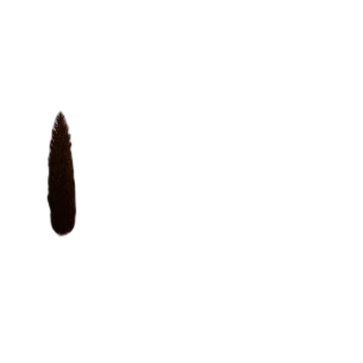 hair, staff, weapon, sword transparent PNG cut-out