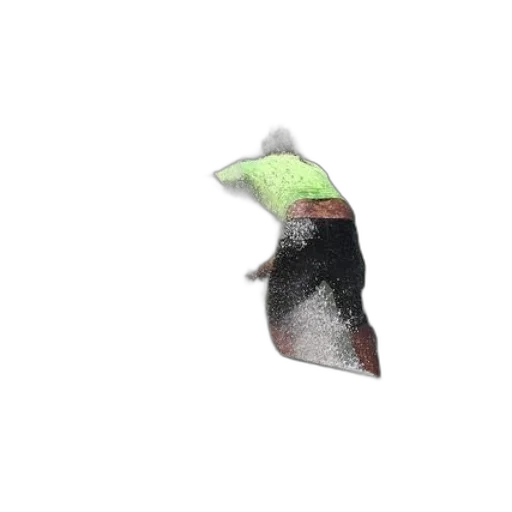 hat, mask, animal, crown transparent PNG cut-out
