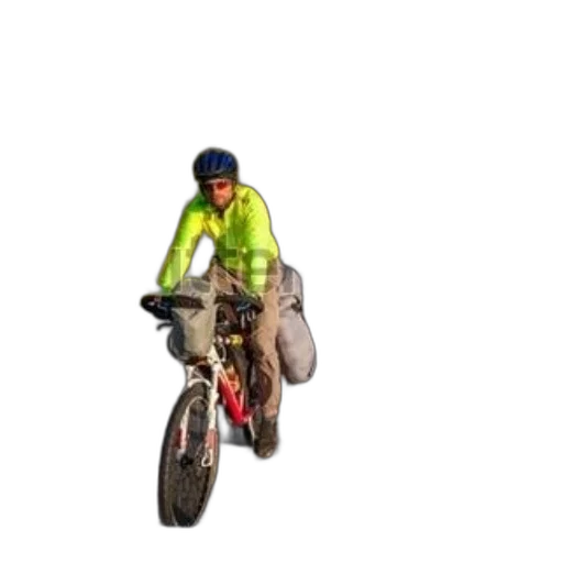jacket, animal, creature, 3d render transparent PNG cut-out