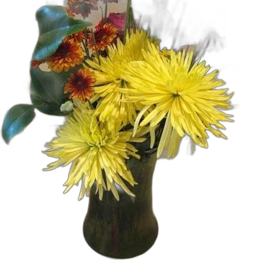 flower, staff, crown, bottle transparent PNG cut-out