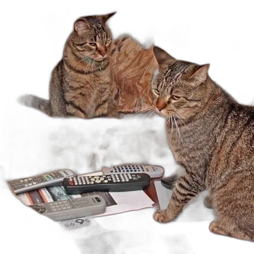 furniture, staff, two, cats transparent PNG cut-out
