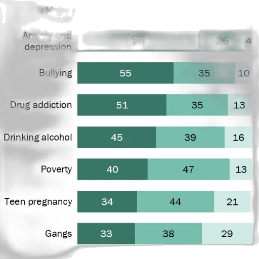 bar, chart, shows, percentage transparent PNG cut-out