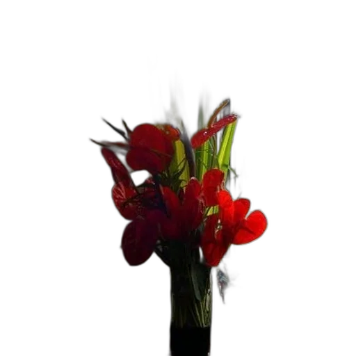 flower, crown, staff, jewelry transparent PNG cut-out
