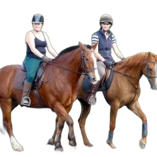 photorealistic, two, women, riding transparent PNG cut-out