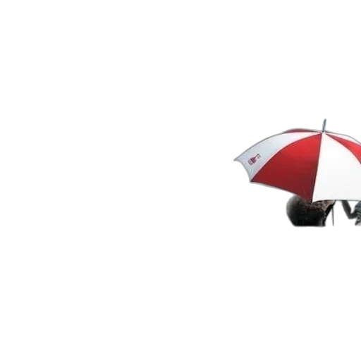 umbrella, hat, 3d render, photorealistic transparent PNG cut-out