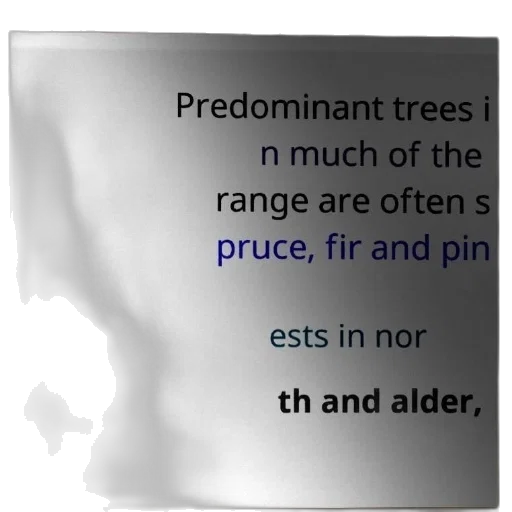 tree, crown, dress, jewelry transparent PNG cut-out