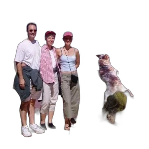 animal, creature, hat, staff transparent PNG cut-out