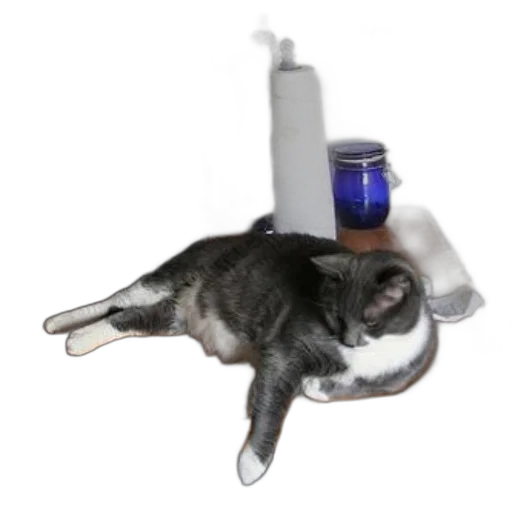 bottle, staff, robot, animal transparent PNG cut-out