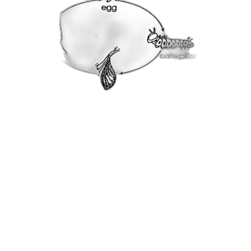jewelry, crown, hat, bottle transparent PNG cut-out