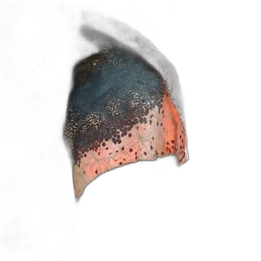 mask, hat, face, hair transparent PNG cut-out